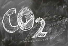 Сколько диоксида углерода выделяет человек? Все подсчитали