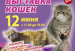 Коты в Слуцке! Только 1 день выставка кошек пройдет в Слуцке
